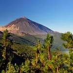 Refugio Experience The Authentic Tenerife דירה *